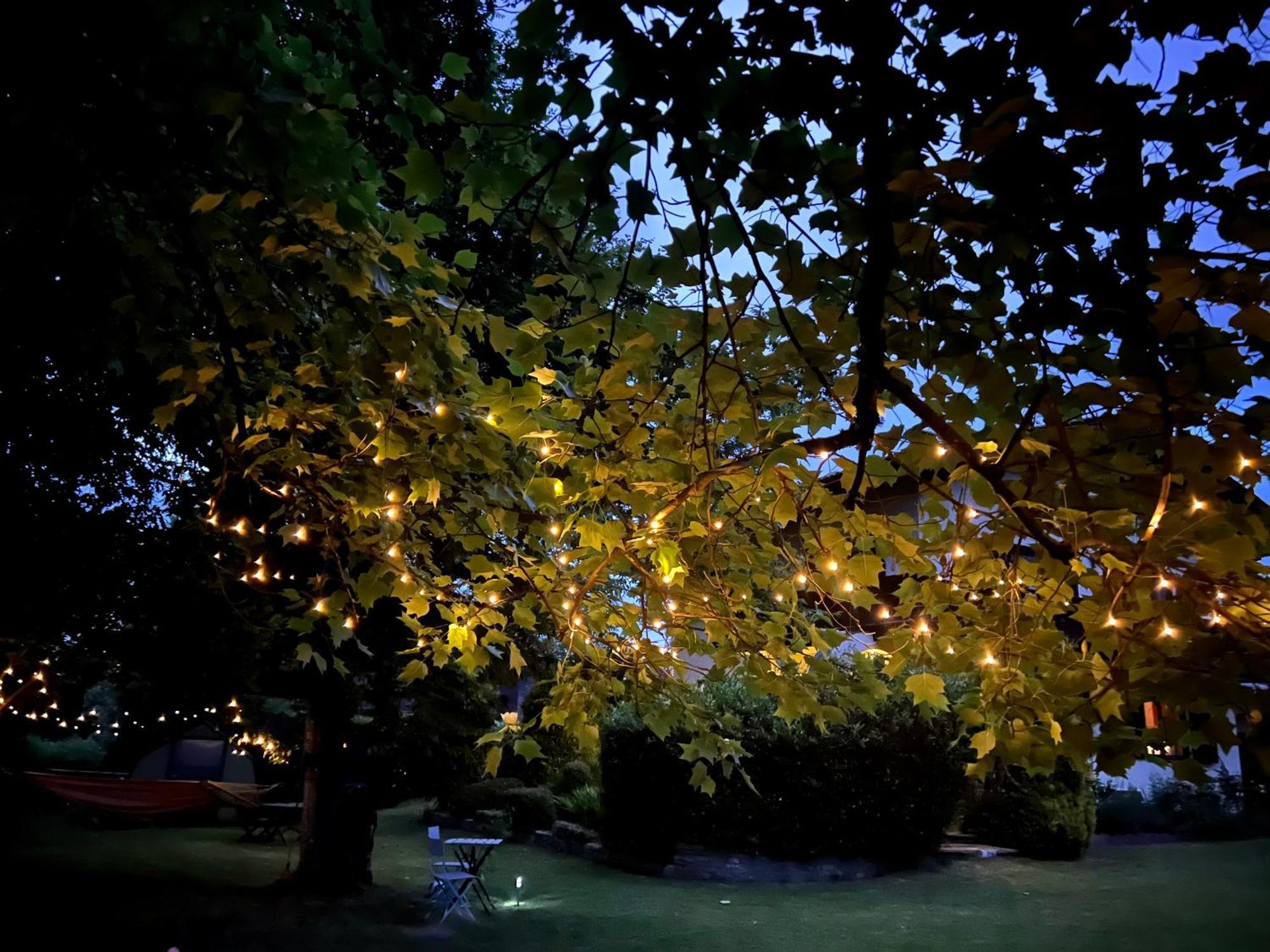 Haus Mit Garten Eugendorf Dış mekan fotoğraf